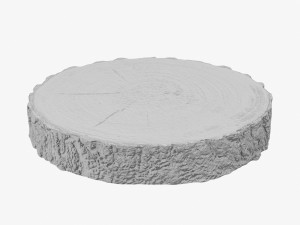 wood log slice 3D Model