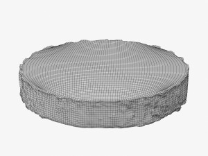 wood log slice 3D Model
