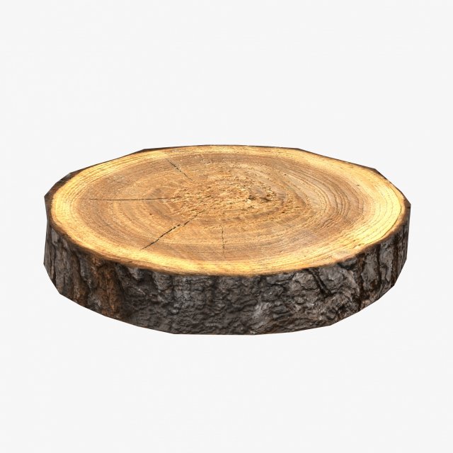 wood log slice low-poly Model 3D .c4d .max .obj .3ds .fbx .stl .blend 