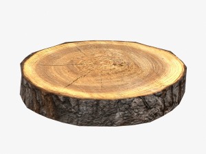 wood log slice low-poly 3D Model