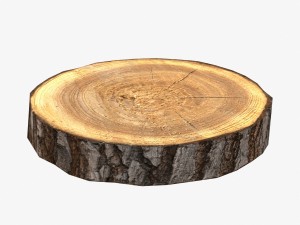 wood log slice low-poly Model 3D