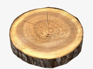 wood log slice low-poly 3D Model