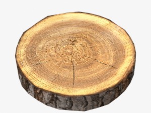 wood log slice low-poly Model 3D