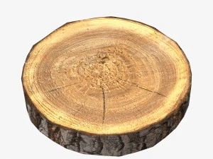 wood log slice low-poly 3D Model