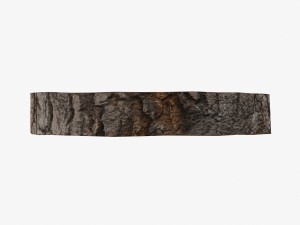 wood log slice low-poly Model 3D