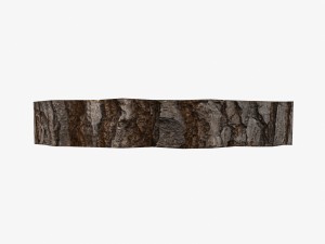 wood log slice low-poly Model 3D