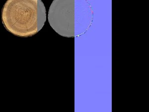 wood log slice low-poly 3D Model
