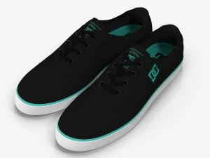 DC Shoes - Flash TX Schwarz-T&uuml;rkis 3D Modell