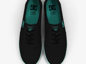 DC Shoes - Flash TX Schwarz-T&uuml;rkis 3D Modell