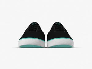 DC Shoes - Flash TX Schwarz-T&uuml;rkis 3D Modell