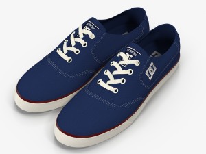 dc shoes - flash tx estate-blue 3D 모델