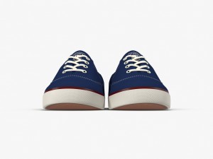 dc shoes - flash tx estate-blue 3D 모델