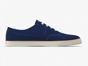 dc shoes - flash tx estate-blue 3D 모델