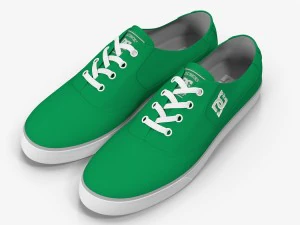 dc shoes - flash tx fern 3D Model