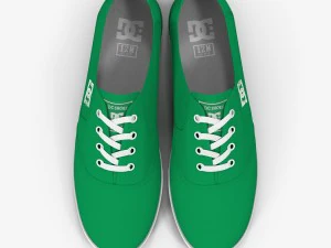 dc shoes - flash tx fern 3D Model