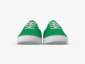 dc shoes - flash tx fern 3D Model