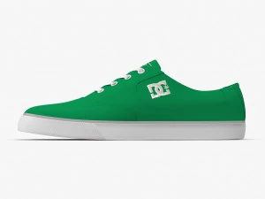 dc shoes - flash tx fern 3D Model