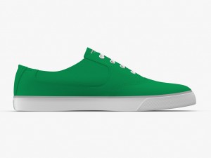 dc shoes - flash tx fern 3Dモデル