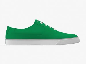 dc shoes - flash tx fern 3D Model