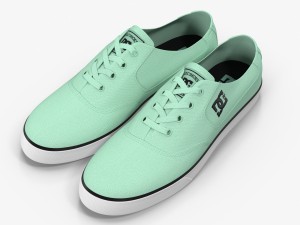 dc shoes - flash tx mint 3D Model