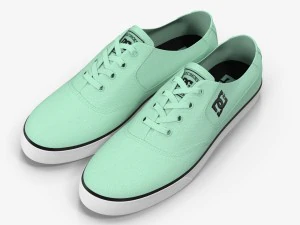dc shoes - flash tx mint 3D Model