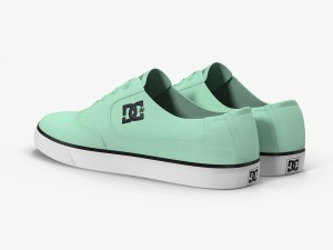 dc shoes - flash tx mint 3D Model