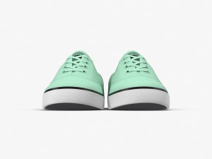 dc shoes - flash tx mint 3D Model