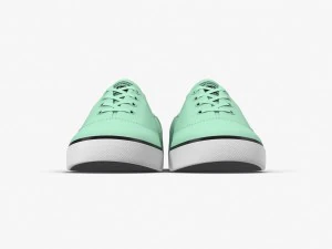 dc shoes - flash tx mint 3D Model