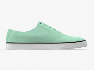dc shoes - flash tx mint 3D Model