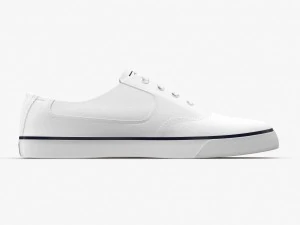 dc shoes - flash tx white 3D Model