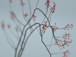 minimalistic ceramic vase set 3D Model