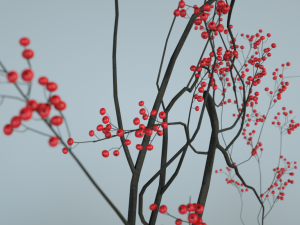 minimalistic ceramic vase set 3D Model