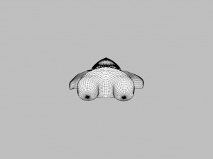 plush teddy bear toy Modelo 3D