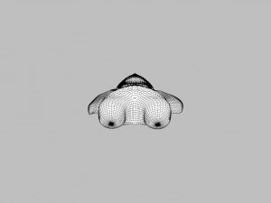 plush teddy bear toy 3D Model