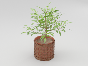 green plant in ceramic pot 3D Model