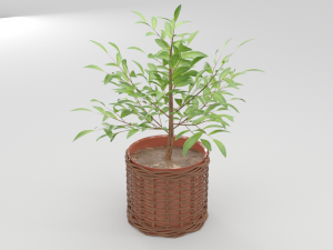 green plant in ceramic pot 3D 모델