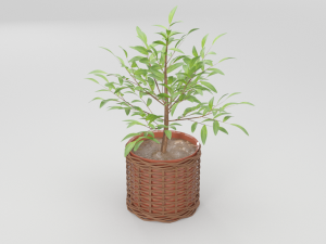 green plant in ceramic pot 3D 모델