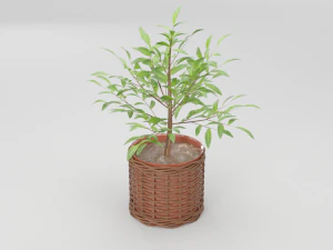 green plant in ceramic pot 3D Model