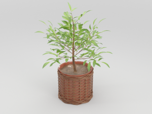 green plant in ceramic pot 3D 모델