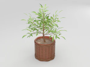 green plant in ceramic pot 3D Model