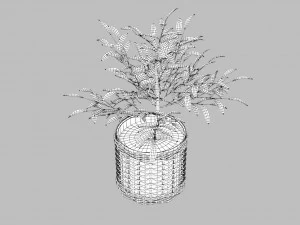 green plant in ceramic pot 3D Model