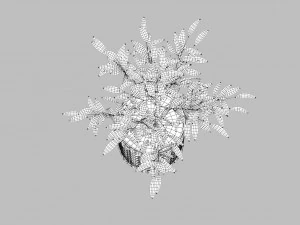 green plant in ceramic pot 3D Model