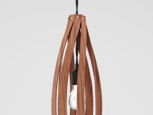 brilho com plafond de madeira Modelo 3D