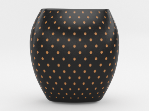 model of aldo vase schwarz 3D 모델