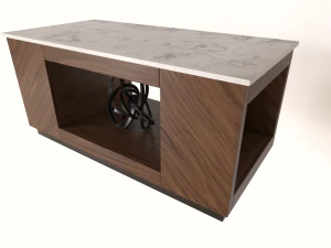 salontafel van marmer en hout 3D Model