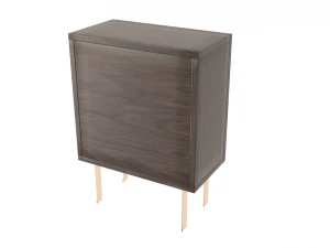 entryway cabinet with doors 3D Model