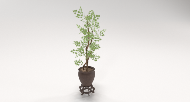 decorative tree in a pot Model 3D .c4d .max .obj .3ds .fbx .stl .blend 