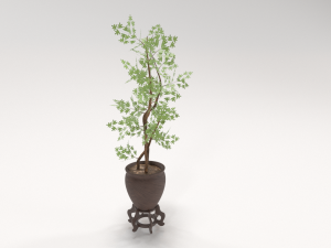 decorative tree in a pot 3D Model