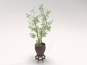 decorative tree in a pot Model 3D