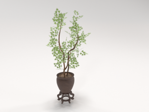 decorative tree in a pot Model 3D